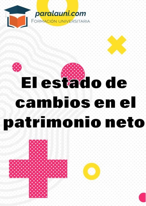 El estado de cambios en el patrimonio neto
