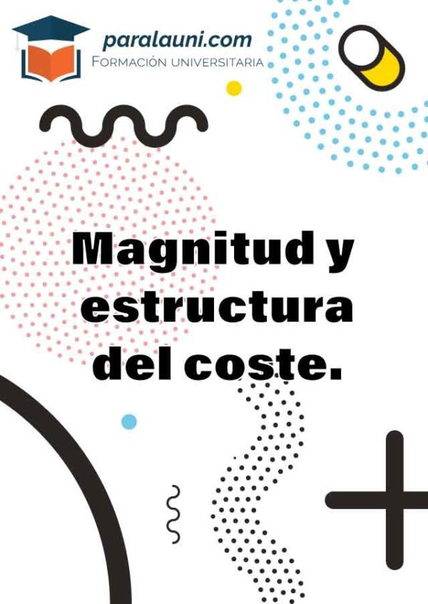 Magnitud y estructura del coste. Cuenta de resultados interna